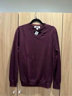 Joseph Abboud Men's V-Neck Merino Wool Sweater in Wine